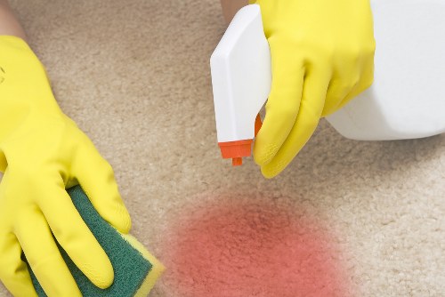 Professional pet stain and odour removal for carpets in SE27 homes