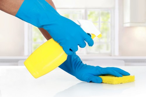 Deep cleaning a mattress in a South London bedroom