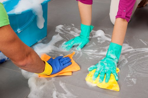 SE27 carpet care focused on restoring freshness and removing embedded dirt