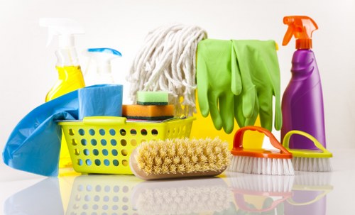 Local cleaning service working in a SE27 flat with shared access