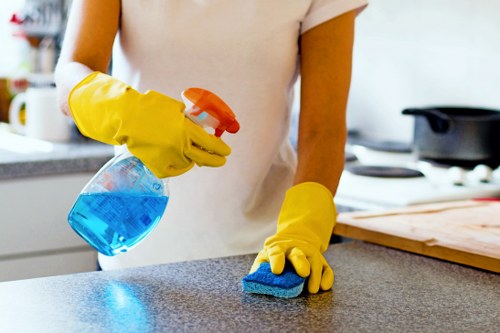 Professional cleaner arranging a regular cleaning plan for a SE27 property