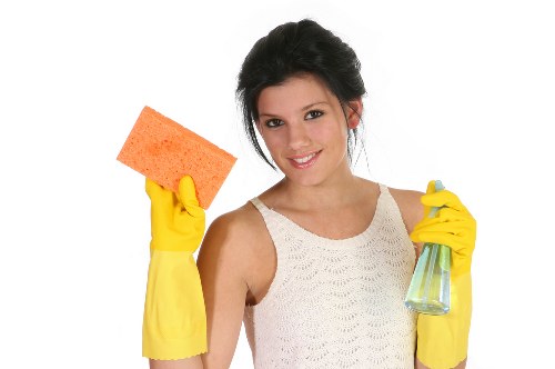 Supplier audit and compliance checks for carpet cleaners
