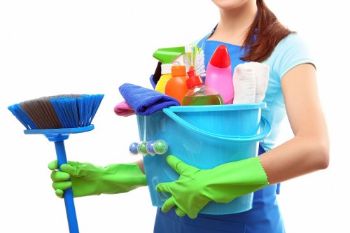 Professional cleaning of residential windows in SE27