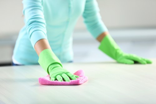 Deep cleaning details for a kitchen in SE27