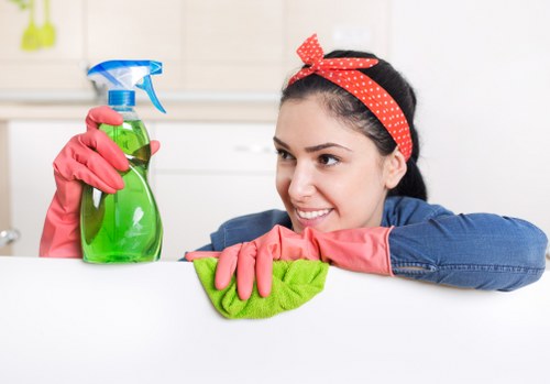 Exterior gutter cleaning service for homes and businesses in SE27