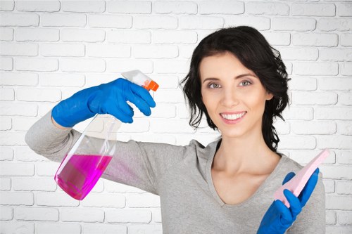 Floor cleaning equipment and surface care for SE27 properties