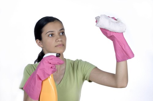 Recurring cleaning support for a SE27 office or small business