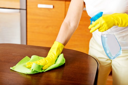 Move in cleaning checklist and fresh interior ready for occupancy in SE27